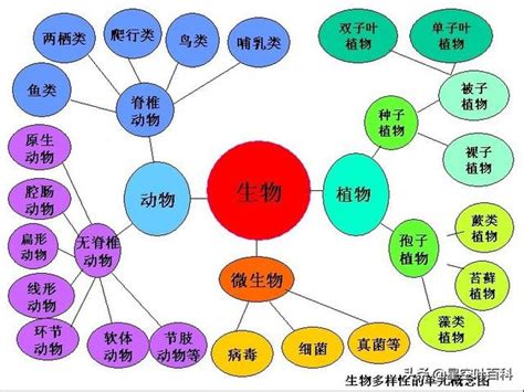 界門綱目科屬種查詢|生物分類法